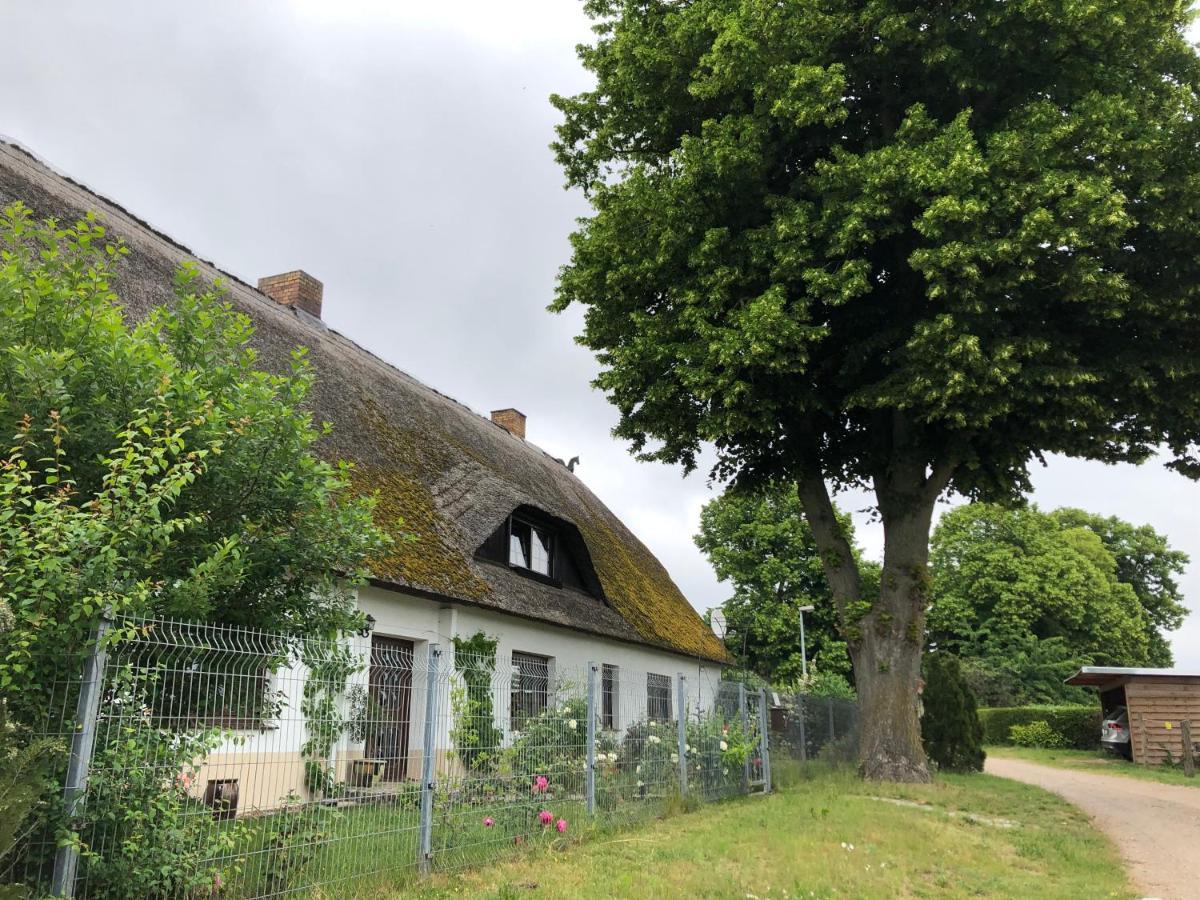 Ferienwohnung Landhaus Zurow Eksteriør bilde
